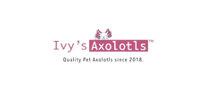 Ivy&#39;s Axolotls - Quality Pet Axolotls Since 2018