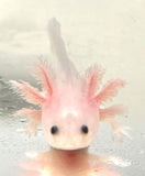 Clean Lucy/Leucistic baby #16