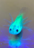 Dirty GFP Leucistic (Lucy) #1