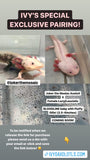 (IVY’S SPECIAL EXCLUSIVE PAIRING) Joker the Mosiac Axolotl  X Female Lucy/Leucistic BLOODLINE baby with Fluffy Gills! (2.5-4inches) COMING Late JULY 2022! SUPER LIMITED SPOTS!