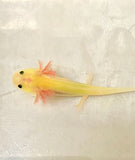 Highlight Freckled GFP Leucistic (Lucy) #4